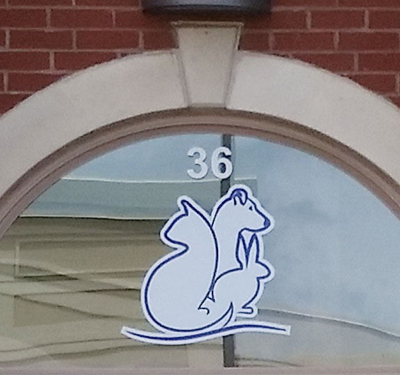 One Color Decals